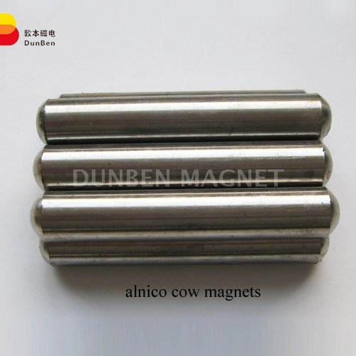 Bar Magnet, Painted, ALNICO5